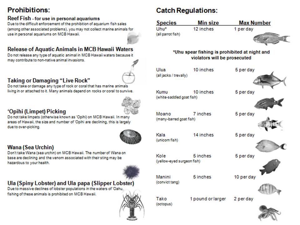 Small chart of catch regulations.