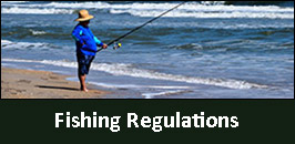 FishingRegs-Link.jpg