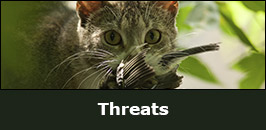 Threats.jpg