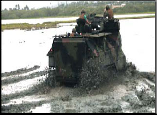 Annual Amphibious Assault Vehicle 'Mud Ops' train Marines while removing weeds, creating better habitats for endangered birds such as the Ae’o (Hawaiian Stilt) living in Nu’upia Ponds. Photo by: LCpl. Derek Davis, Combat Camera