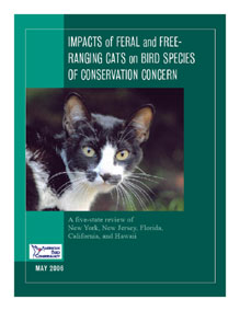 Image of Domestic and Feral Cats brochure.