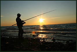 Photo of a person fishing.